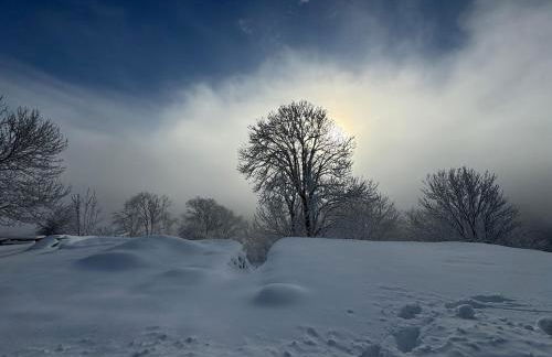 Chez Guytou - Foto 42