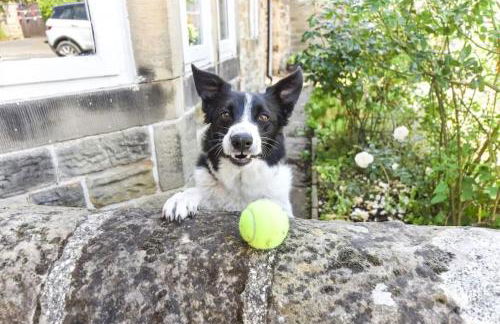 The Old Horns cottage - Foto 18