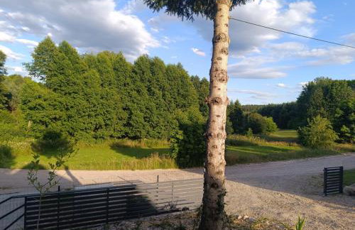 Agroturystyka Pod Pstrągiem - Foto 58