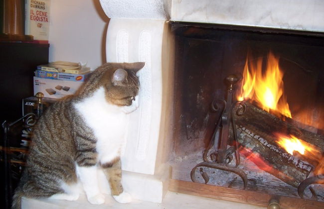 Agriturismo Paradiso - Foto 7