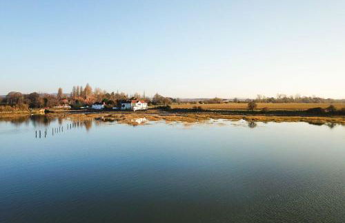 Snow Goose - Foto 35