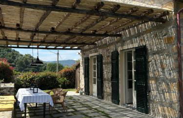 Casa Collina by PortofinoVacanze - Foto 56