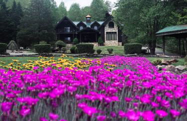 A River Runs Through It - Foto 5