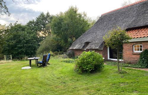 Reetdachhaus am See Ostfriesland - Foto 41