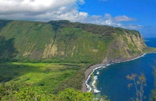 Kilauea iki- Hale Kumu La'au - Foto 18