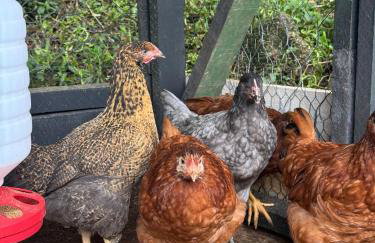 Serra Nevada House - Foto 47