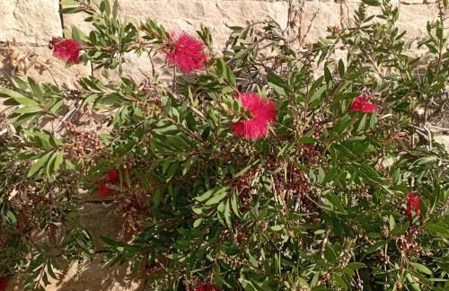 Cottage de charme en pierres à 25 mn de la côte de Granit rose - Foto 33
