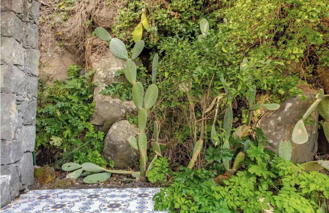 Dolce Lava - Natural Luxury Experience - Foto 21