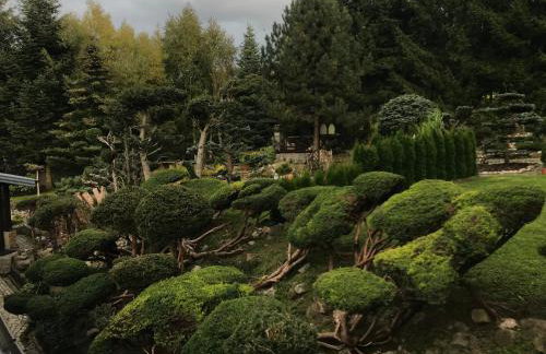 Skalny ogród - Foto 9