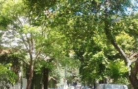 Apartamento Parque Jardim Europa - Foto 15