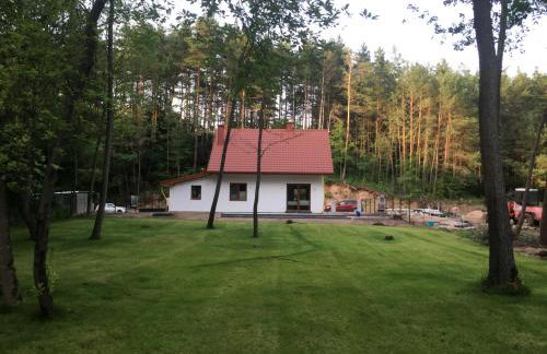 Dom w głębi lasu - Foto 21