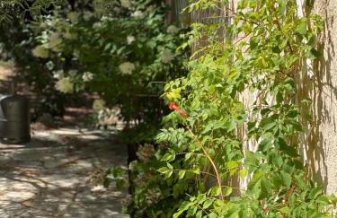 Villa Claudia Domaine les Palmiers - Foto 54