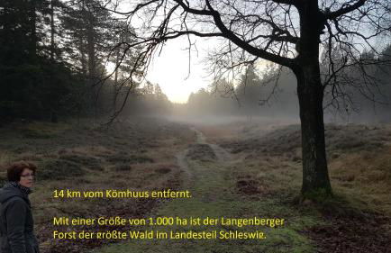 Ferienhaus Kömhuus - Photo 37