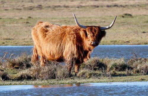 La Baie l étoile - Foto 33