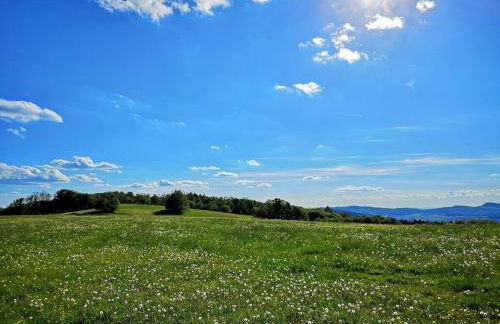 Old Forge Modern Retreat - Foto 71