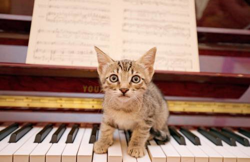 Retro Athens - Foto 15