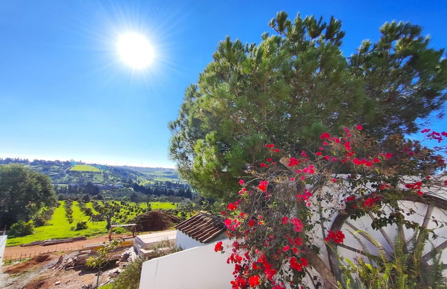 Lagos High Point Nature 1 by Homing - Foto 1