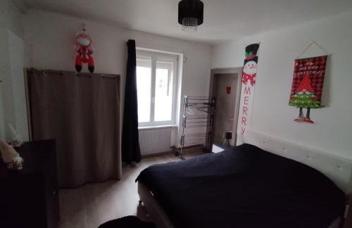 Charmant appartement de 3 pièces, Colmar - Foto 8