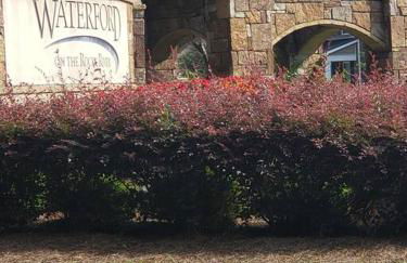 Cozy 2b 2b Spa 2 Steam Saunas Home Theater Gym - Foto 41