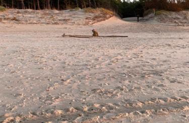 PORTKNAUBER - Photo 27