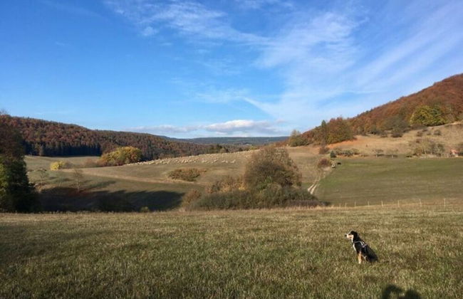 Holiday Home Tachbachtal - Photo 10