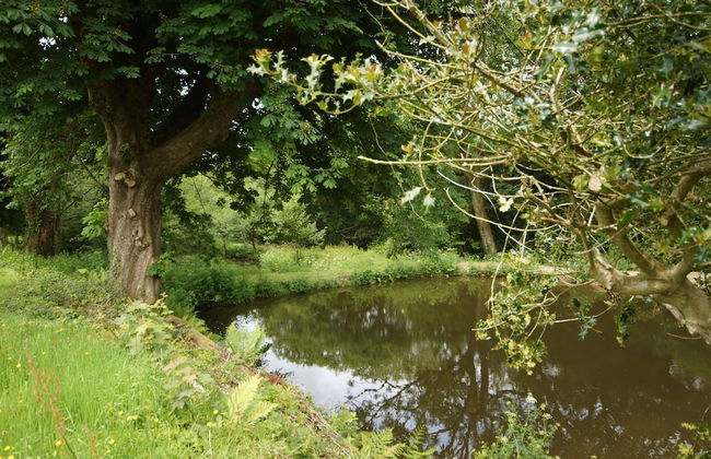 Fosfelle Glamping - Photo 39