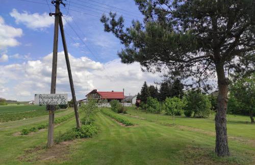 Agroturystyka Kobylnica nad Wisłą - Foto 58