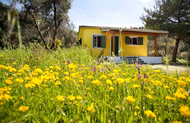 Cute Yellow Handmade House With Garden - Foto 74