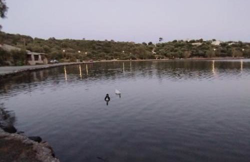 Αrmiriki House - Photo 30