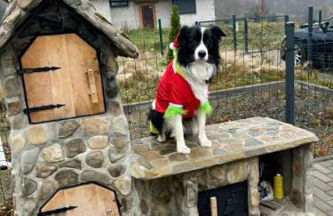 Śnieżna Chatka - Sosnówka Karpacz - Foto 22