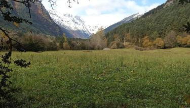 Apartamentos Sorripas 1 hab - Foto 2