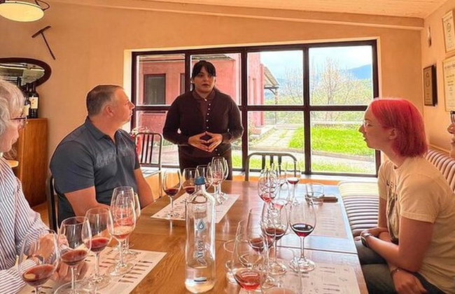 Vergina, Naousa and Edessa - Full-Day Private Tour - Foto 3