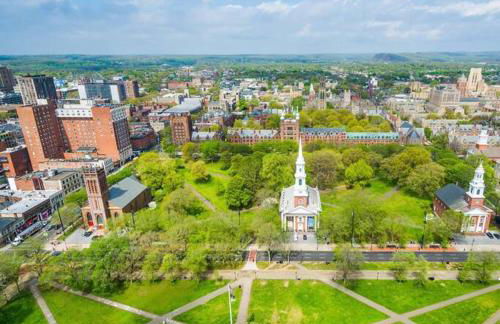 Peachy Paradise in East Rock Near DT/Yale - Foto 36