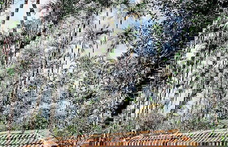 SR Villa - Serenity Riverside - Foto 17