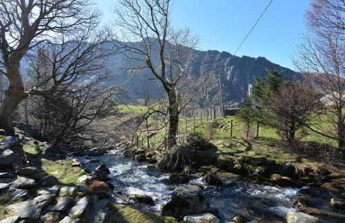 Llwyn Bedw - Photo 33