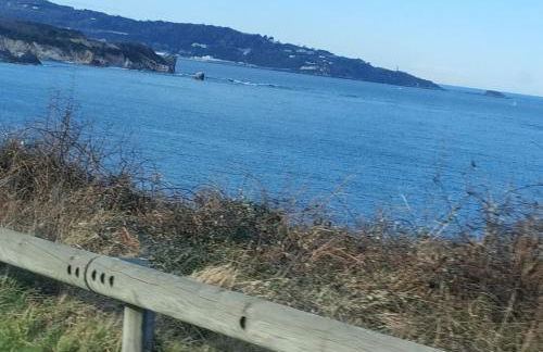 CÔTE BASQUE - Foto 28