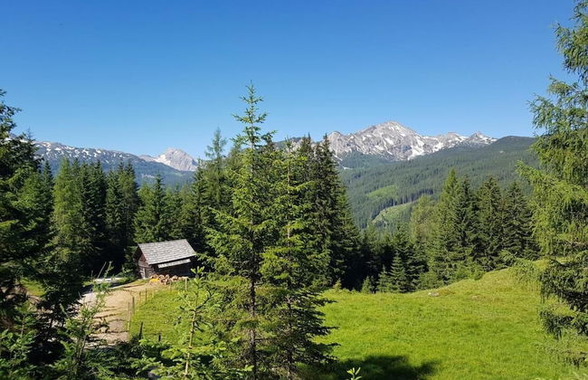 Room-holiday Home Kahr Apartment Roßbran - Photo 37