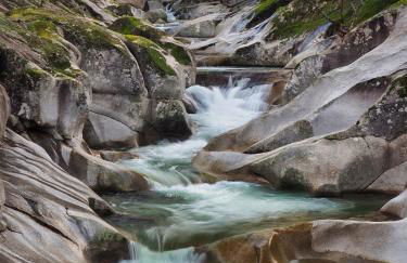 Complejo Rural Las Palomas - Foto 43