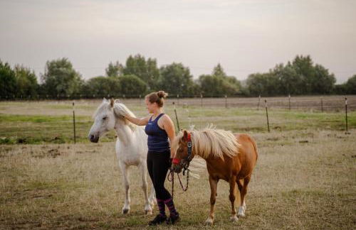 Am Hinrichsberg oben - Foto 34