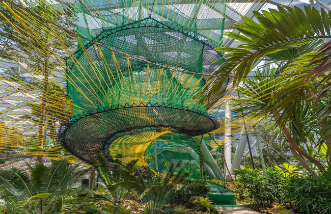 Entrada al Canopy Park del aeropuerto de Singapur - Foto 2