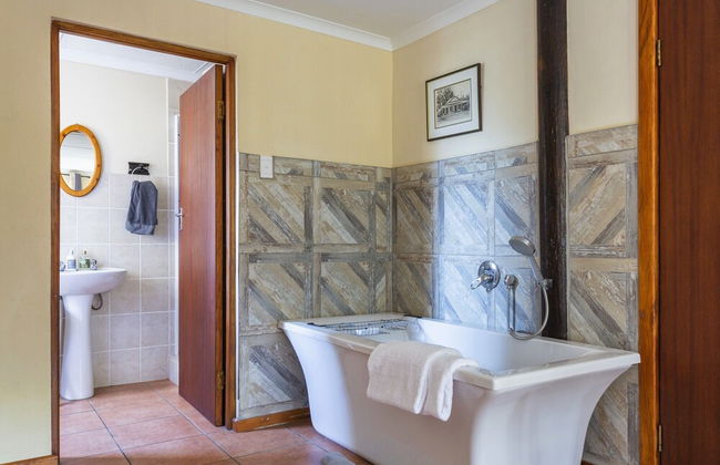 Experience Nature at Brenton on Sea With Breakers Dolphins and Whales - Foto 15