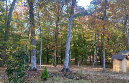 Quiet Forest Vacation home on a Private Road with Spacious Patios, Fire pit, Pet friendly and a Private pool - Foto 25