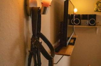 Ferienhof Ekenhoff - Foto 42