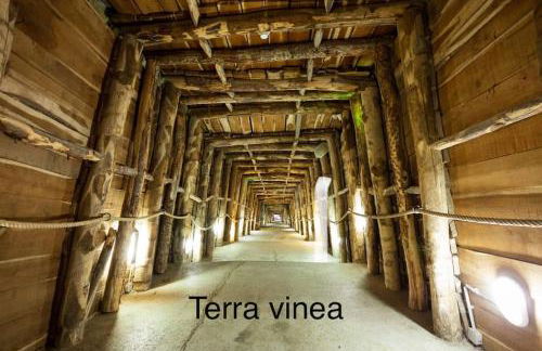 Gîte « domaine de l’oustal nau » - Foto 30