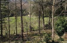 Casale La Pineta - Foto 19