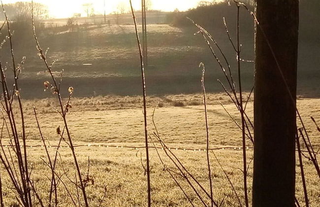 Holiday Apartment Lautertalblick - Photo 4