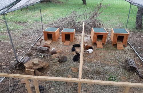 LES 3 HIRONDELLES - Foto 22