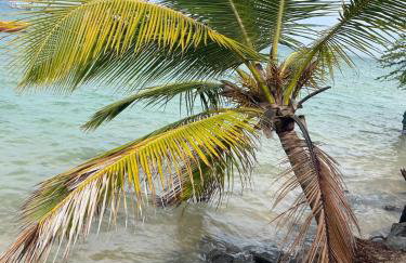 Temporada Jaua, casa individual - Foto 7