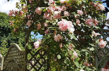 Tudor Cottage - Foto 25