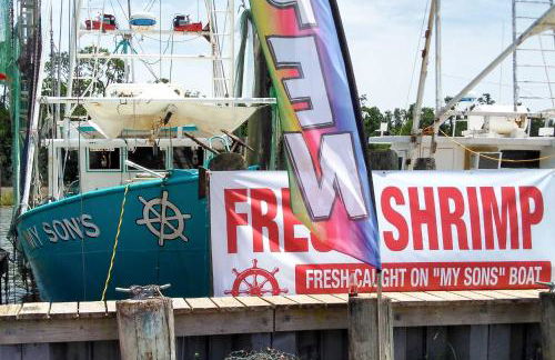 Harbor Oaks Haven Walk to Front Beach and Downtown! - Foto 27